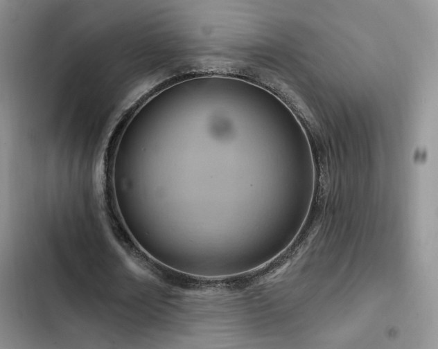 X0000102790674200808181300