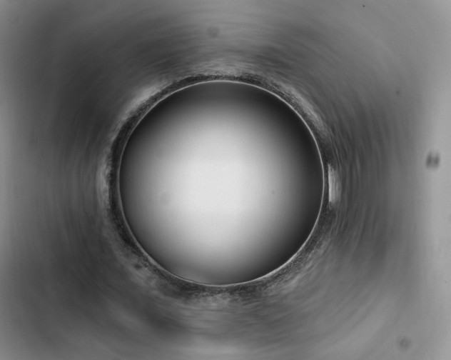 X0000102790675200808181300