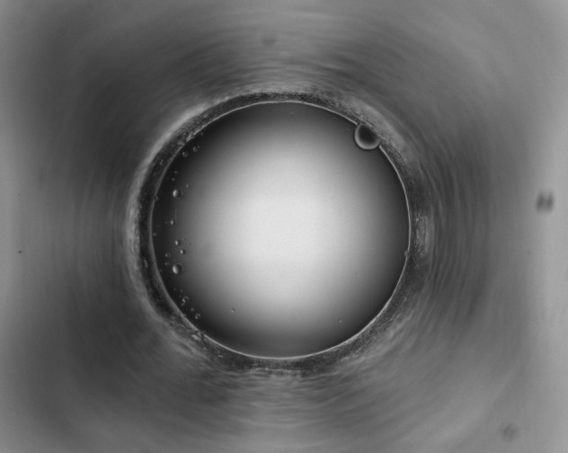 X0000102790676200808181300