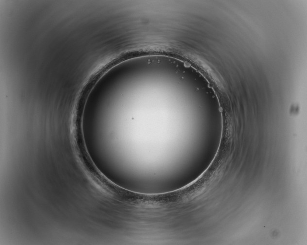 X0000102790677200808181300