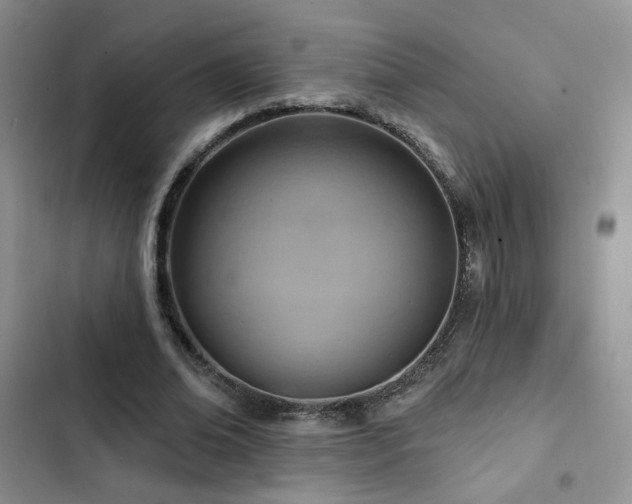 X0000102790678200808181300