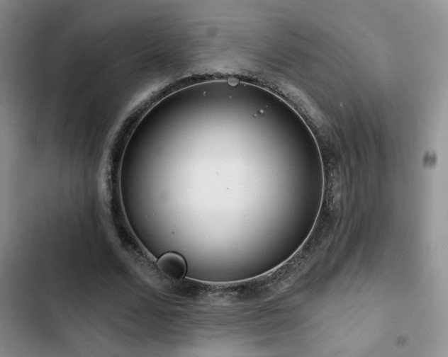 X0000102790680200808181300