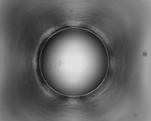 X0000102790682200808181300