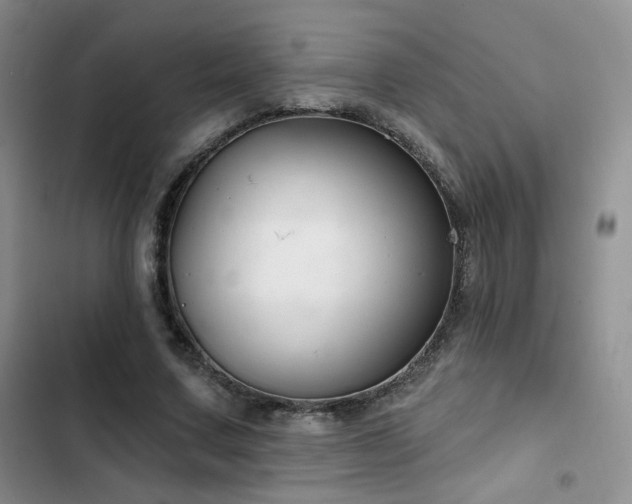 X0000102790683200808181300
