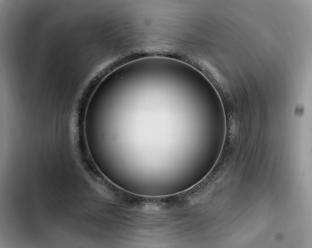 X0000102790684200808181300