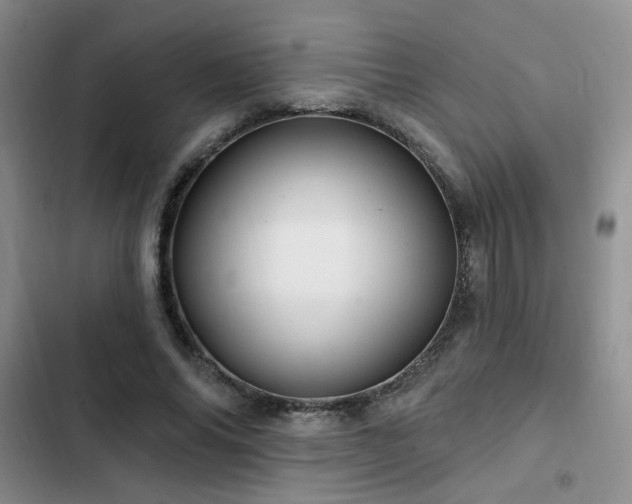 X0000102790686200808181300