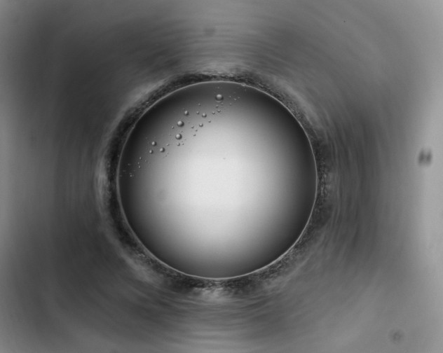 X0000102790688200808181300
