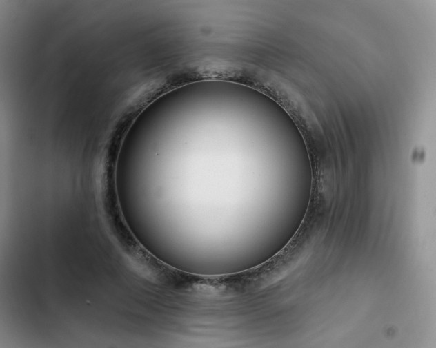 X0000102790690200808181300