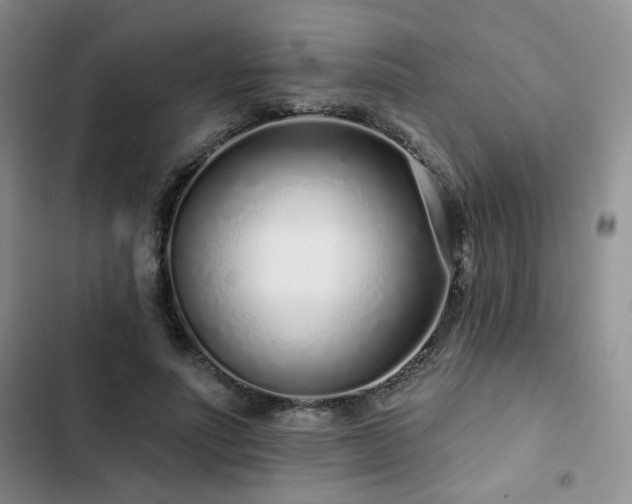 X0000102790691200808181300