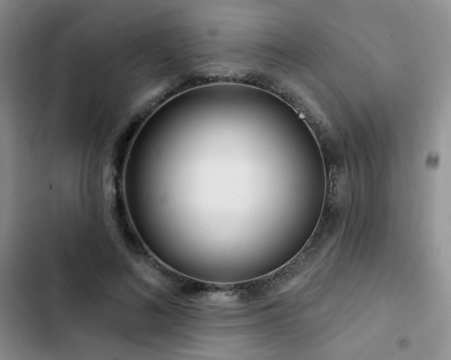 X0000102790692200808181300