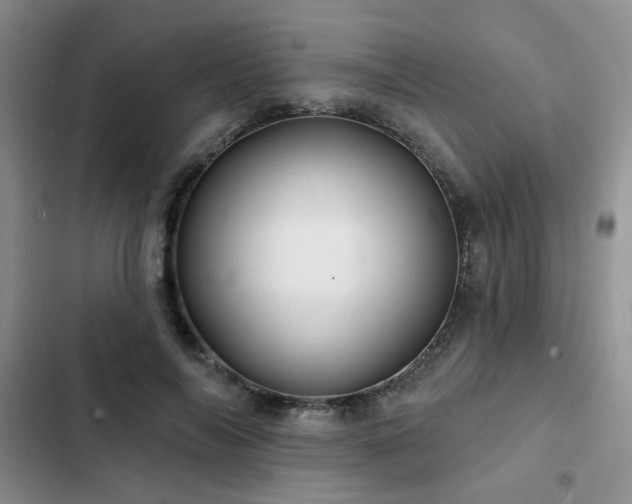 X0000102790694200808181300