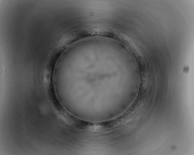 X0000102790695200808181300