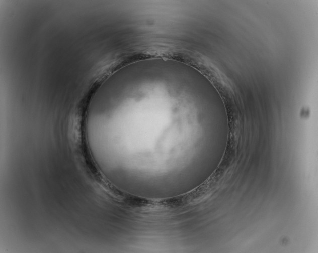 X0000102790696200808181300