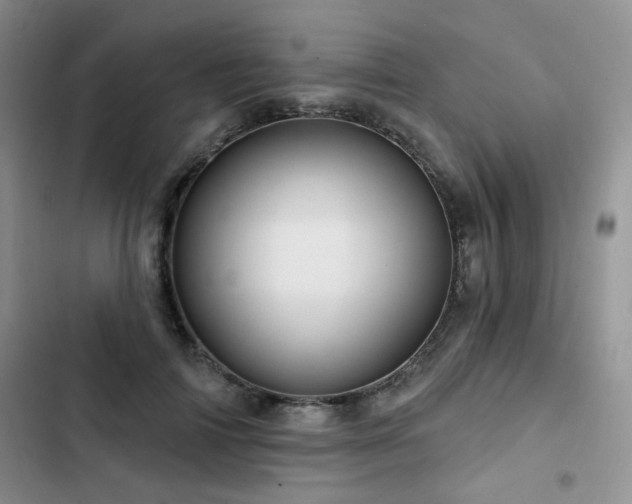X0000102790698200808181300