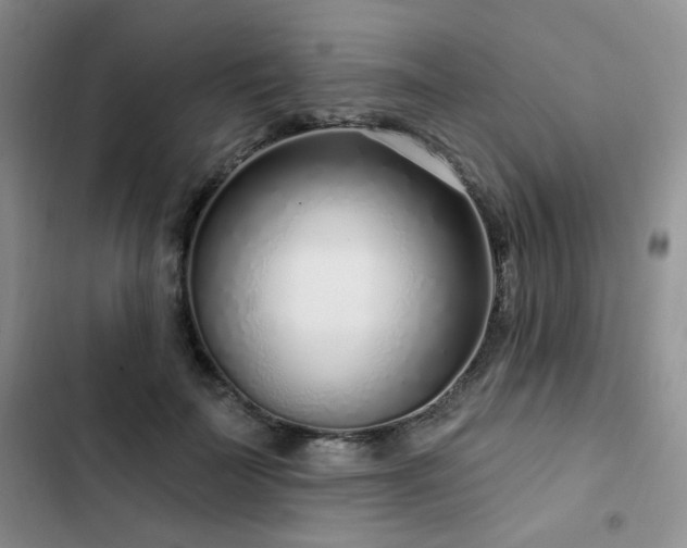 X0000102790699200808181300