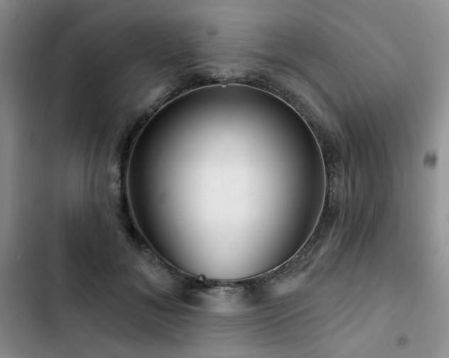 X0000102790700200808181300