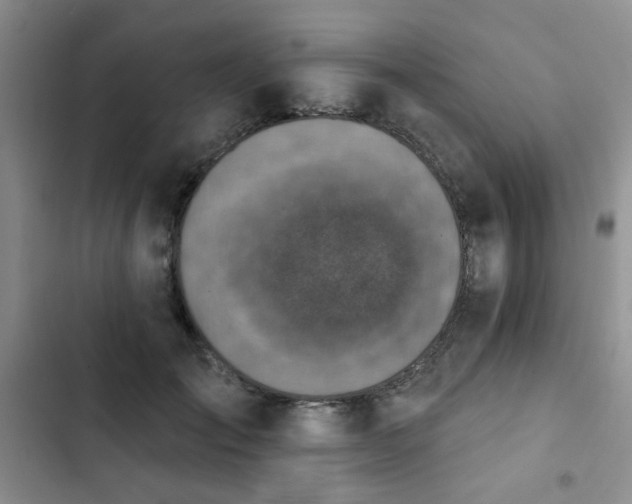 X0000102790701200808181300