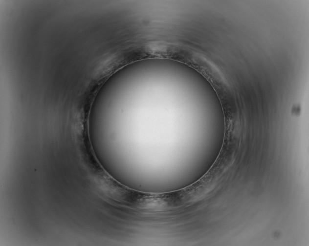 X0000102790702200808181300