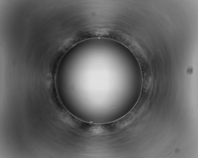 X0000102790704200808181300