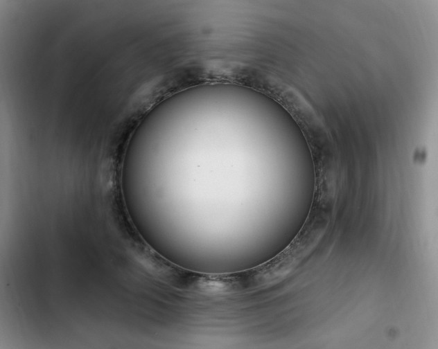 X0000102790706200808181300