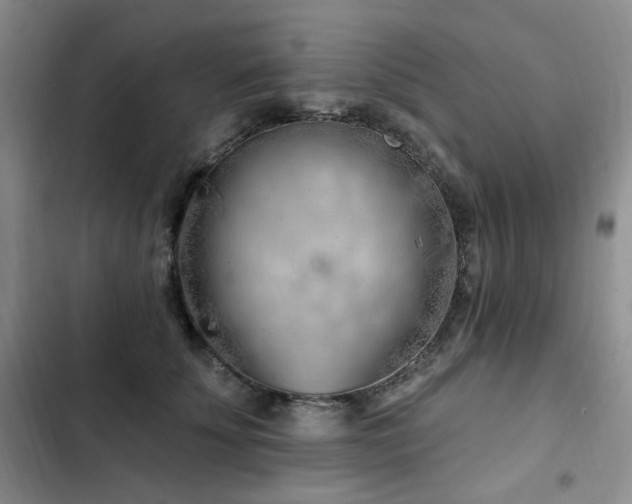 X0000102790707200808181300