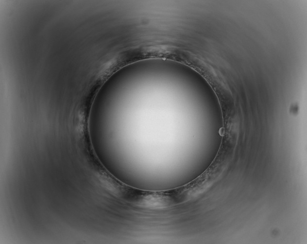 X0000102790708200808181300