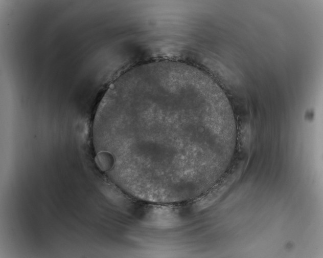 X0000102790709200808181300