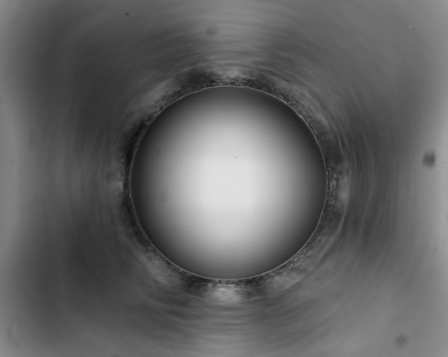 X0000102790710200808181300