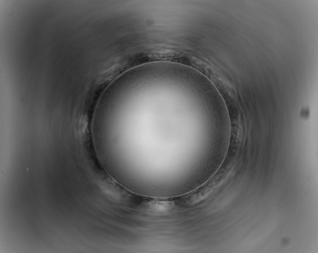 X0000102790711200808181300