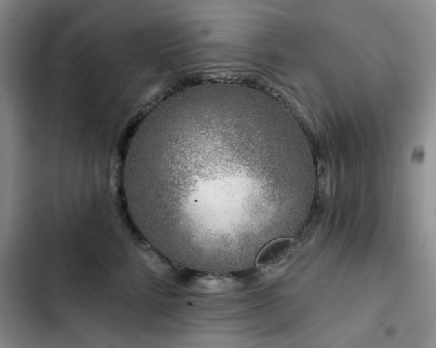 X0000102790712200808181300
