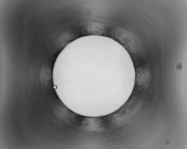 X0000102790713200808181300