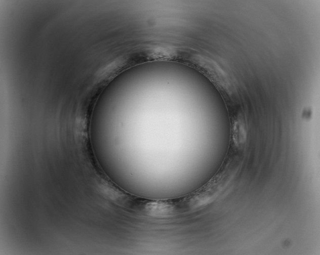 X0000102790714200808181300