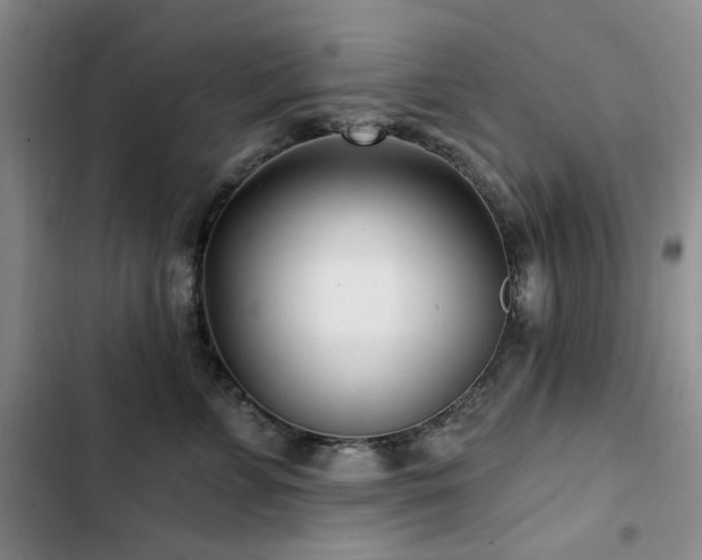 X0000102790715200808181300
