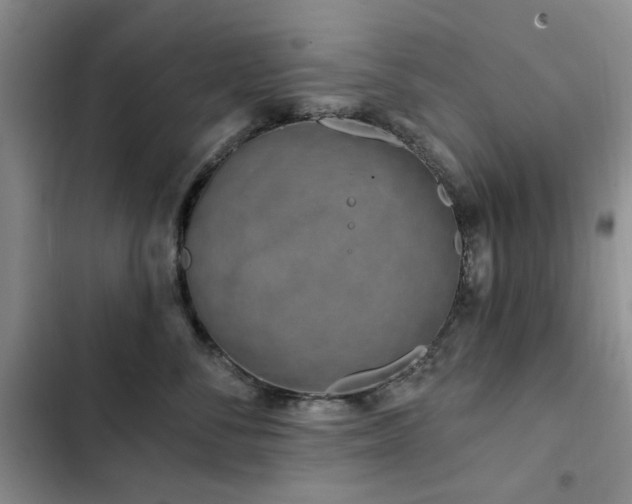X0000102790716200808181300