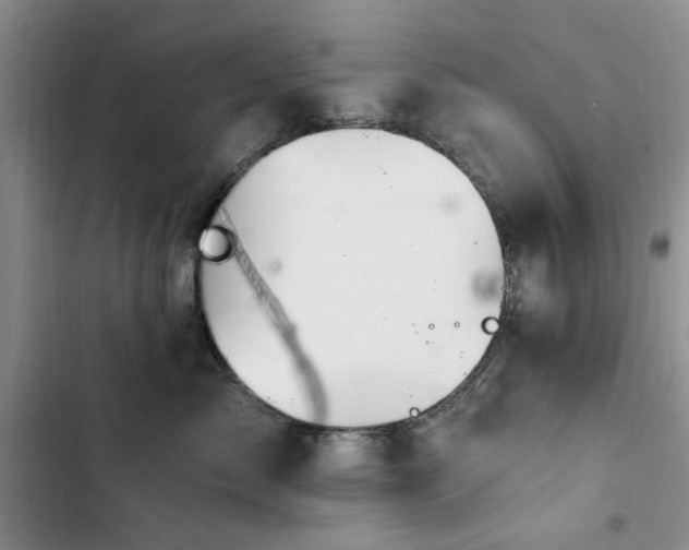 X0000102790717200808181300