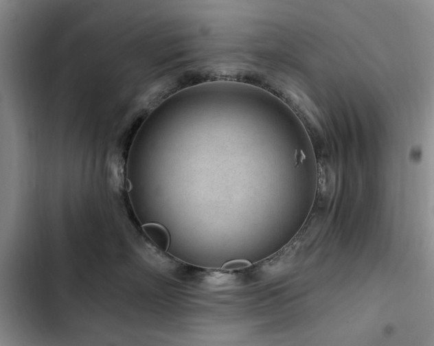 X0000102790718200808181300