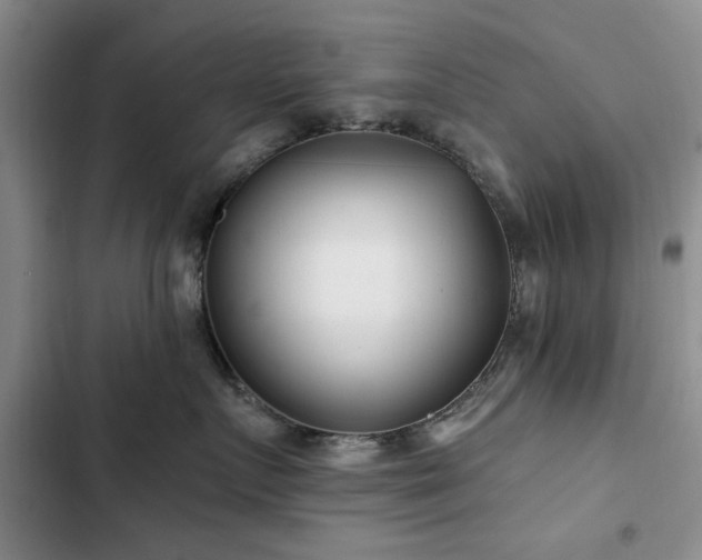 X0000102790719200808181300