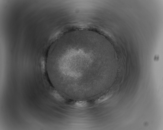 X0000102790720200808181259