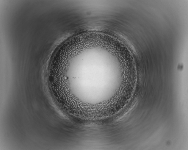 X0000102790721200808181259