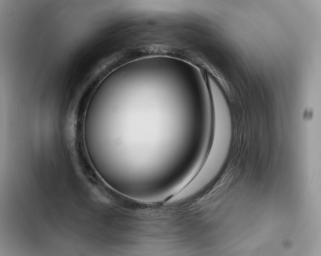 X0000102790722200808181259