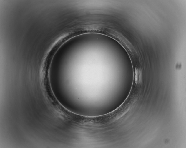 X0000102790723200808181259