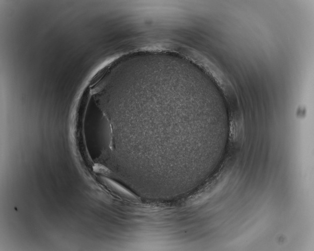 X0000102790724200808181259