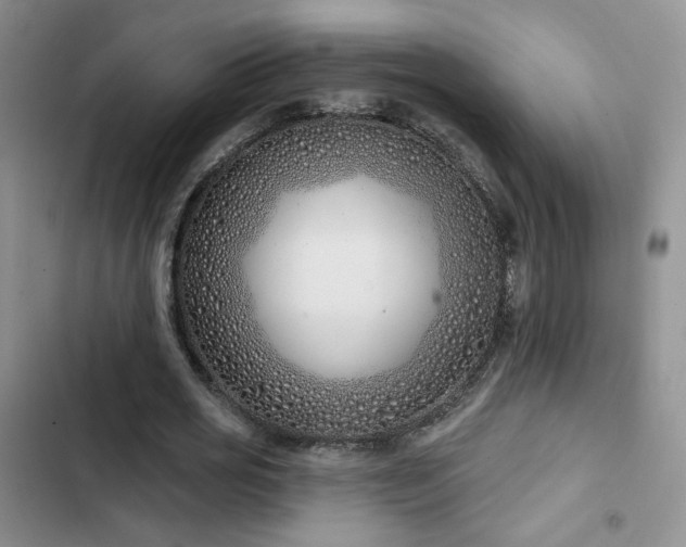 X0000102790725200808181259
