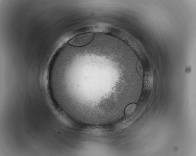 X0000102790726200808181259