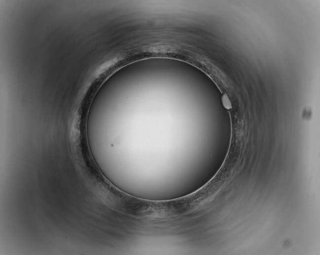 X0000102790727200808181259
