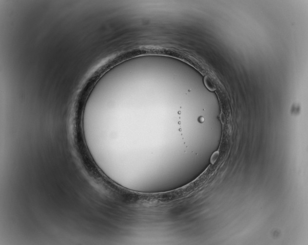X0000102790728200808181259