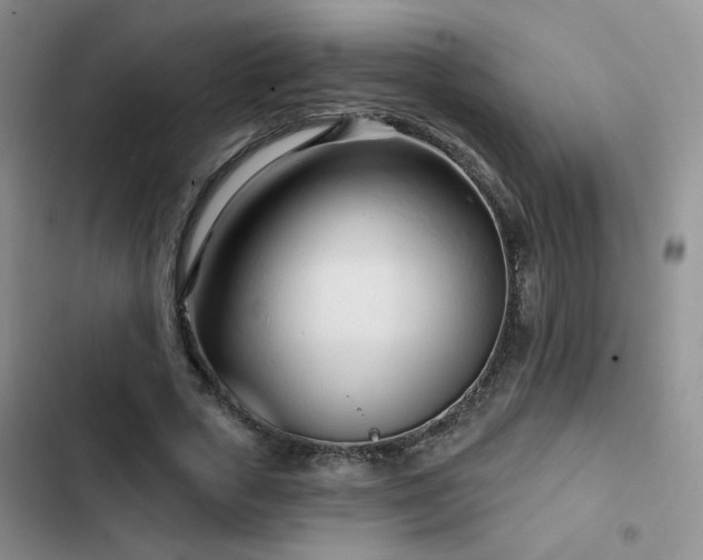 X0000102790729200808181259