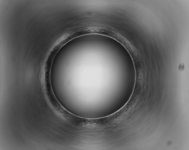 X0000102790730200808181259