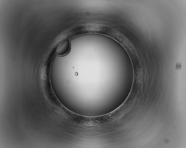 X0000102790731200808181259