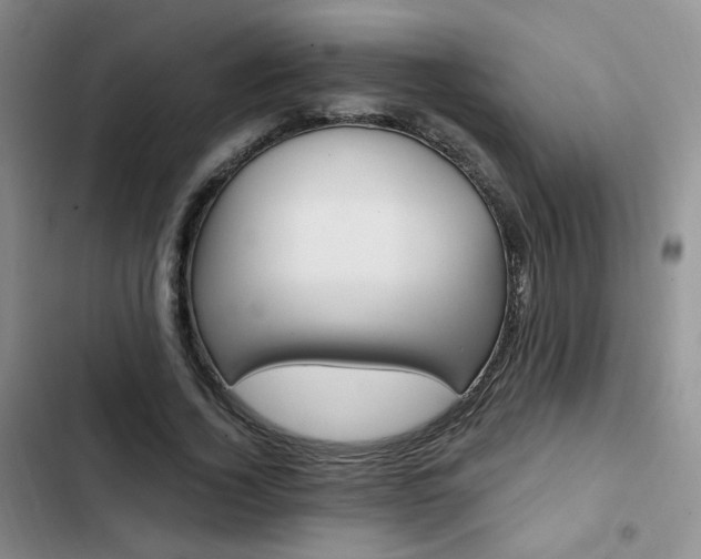 X0000102790732200808181259